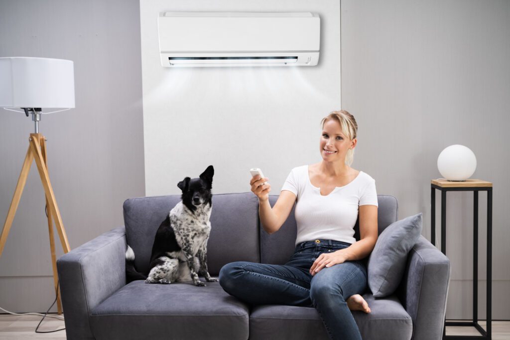 Happy Woman Sitting On Sofa Using Air Conditioner At Home