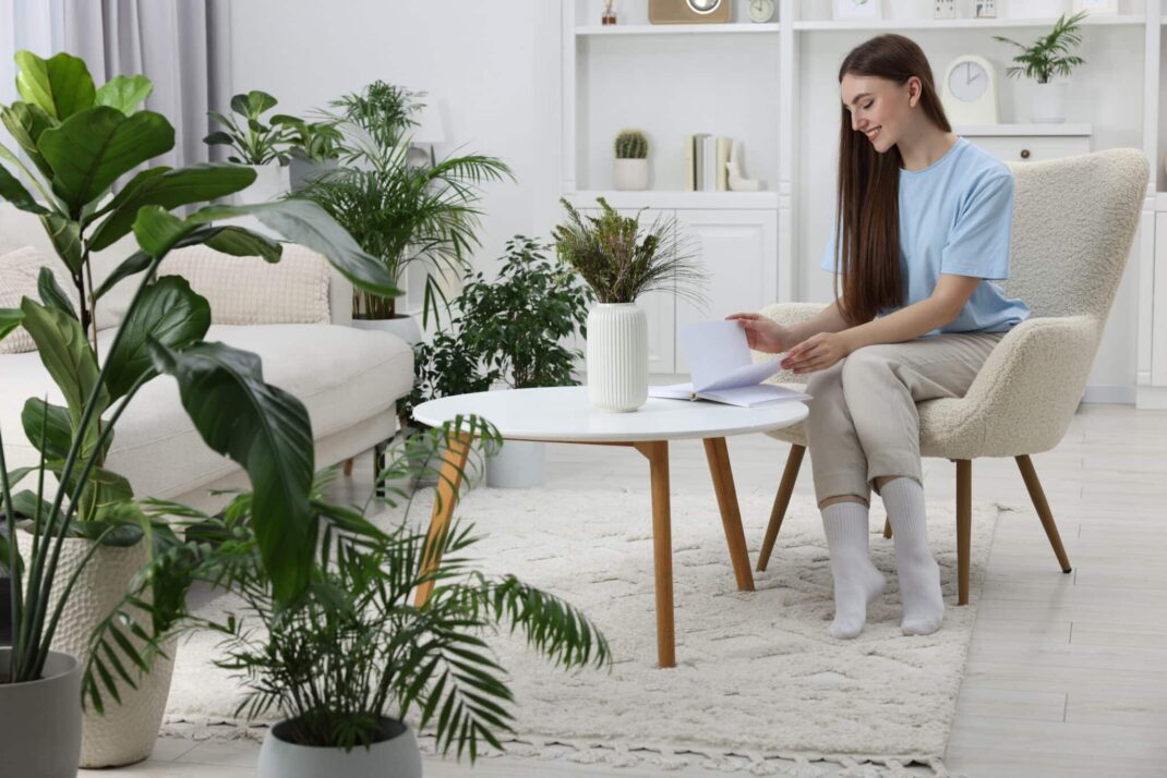 Combatting Pollen: Air Purification Solutions in Dewey.